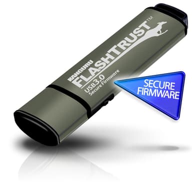 Kanguru FlashTrust USB-sticka 256 GB USB Type-A 3.2 Gen 1 (3.1 Gen 1) Grön 256GB USB Type-A Grön