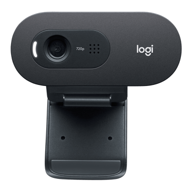 Logitech C505e 
