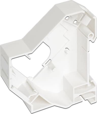 Delock Adapter 