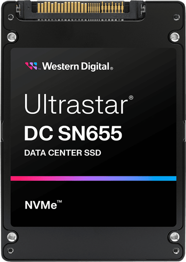 SanDisk SN655 30.72TB U.3 PCIe 4.0