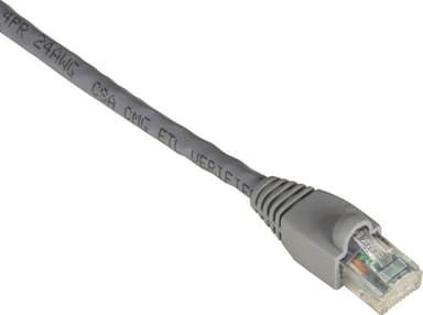 Black Box 15.2m Cat6 UTP 550 MHz netwerkkabel Grijs 15,2 m U/UTP (UTP) RJ-45 Cat 6 15.2m Grijs