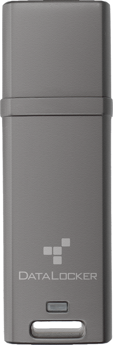 Datalocker DL GO 16GB USB-A Harmaa