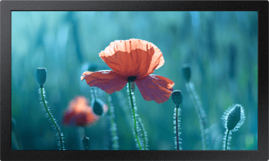 Samsung QB13C Small Signage 16/7 13" ADS 1920 × 1080pixels 500cd/m²