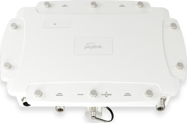 PEPLINK AP Pro AX kestävä IP67 WiFi 6 ulkotukiasema