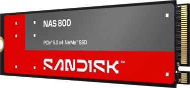 SanDisk NAS 800 960GB SSD M.2 PCIe 5.0