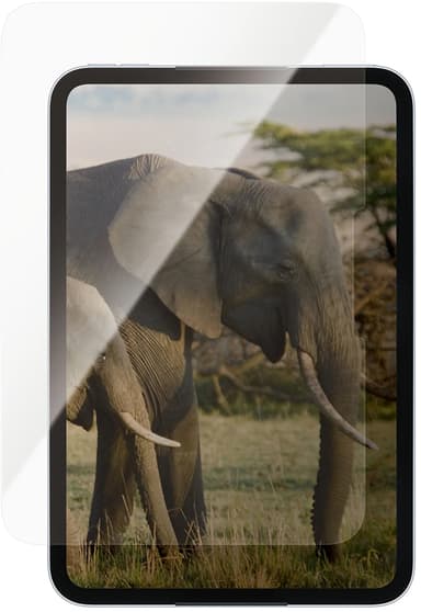 Panzerglass Ultra-Wide Fit iPad mini (A20 Pro)