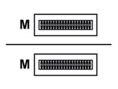 HPE Aruba Networking X241 100G QSFP28 5m InfiniBand og fiberoptisk kabel 3 m 3m QSFP28 QSFP28