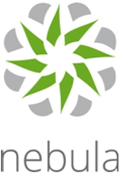 Zyxel LIC-NPRO-ZZ1Y00F softwarelicentie & -uitbreiding 1 licentie(s) Licentie 1 jaar 