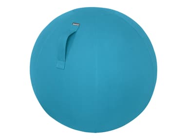 Leitz Cosy Ergo Aktiv balanseball Blå 