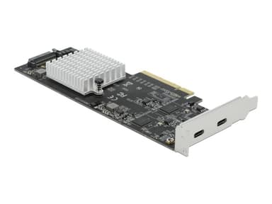 Delock 89009 interface-kort/adapter Intern USB 3.2 Gen 2 (3.1 Gen 2) 