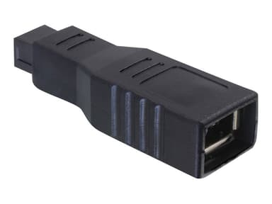 Delock Adapter 