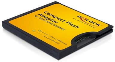 Delock Compact Flash Adapter 