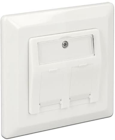 Delock 2 Port Keystone Vägguttag 