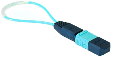 Direktronik Mpo/mm Om3 Loopback Adapter 