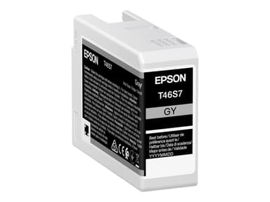 Epson Muste Harmaa 25ml - SC P700 
