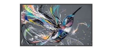 Philips Q-Line 50BDL3511Q 18/7 - (Löytötuote luokka 1) 50" VA 500cd/m² 3840 x 2160pixels
