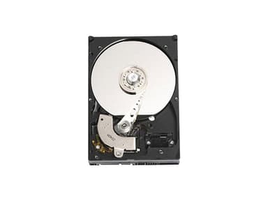 Dell Kiintolevy 3.5" 7200r/min SATA 6.0 Gbit/s HDD