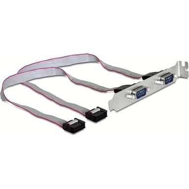 Delock Slotbracket > 2x serial 