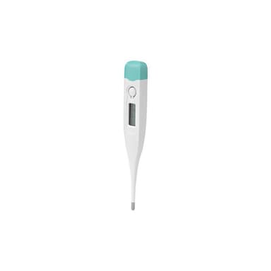 Termometerfabriken Clinical Thermometer 