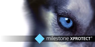 Milestone XProtect Pro+ Baslicens 