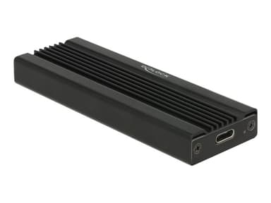 Delock NVME-Kabinett 