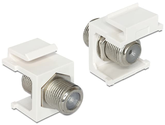 Delock Adapter (86300)