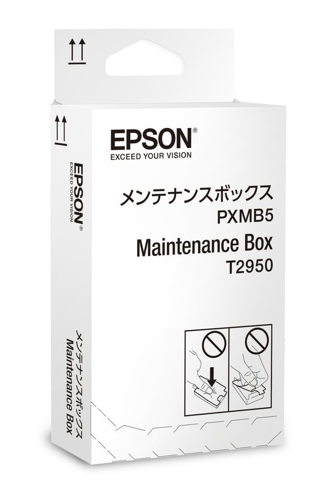 Epson Maintenance Box - WF-100W (C13T295000)