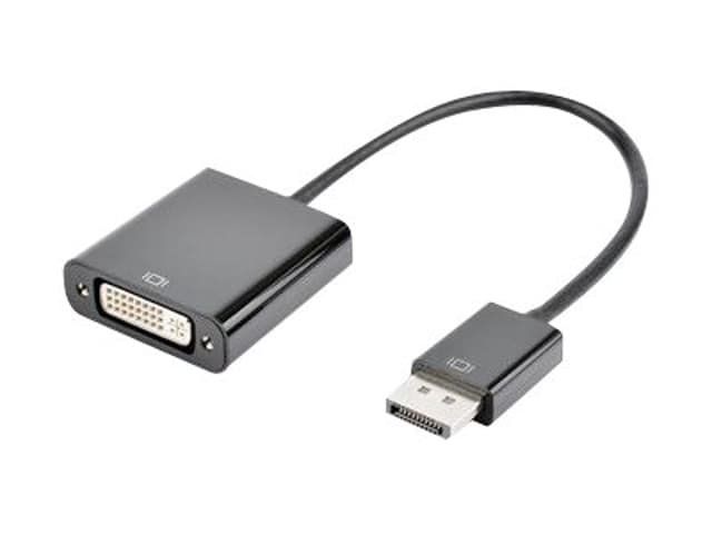 Prokord Video adapter 0.2m DisplayPort DVI-D Svart (DP-D)