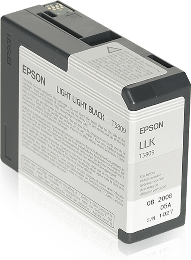 Epson Bläck Ljus Light Svart T5809