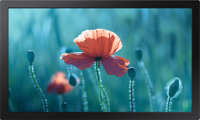 QB13C Small Signage 16/7 13" ADS 500cd/m² 1920 × 1080pixels (LH13QBCEBGBXEN)