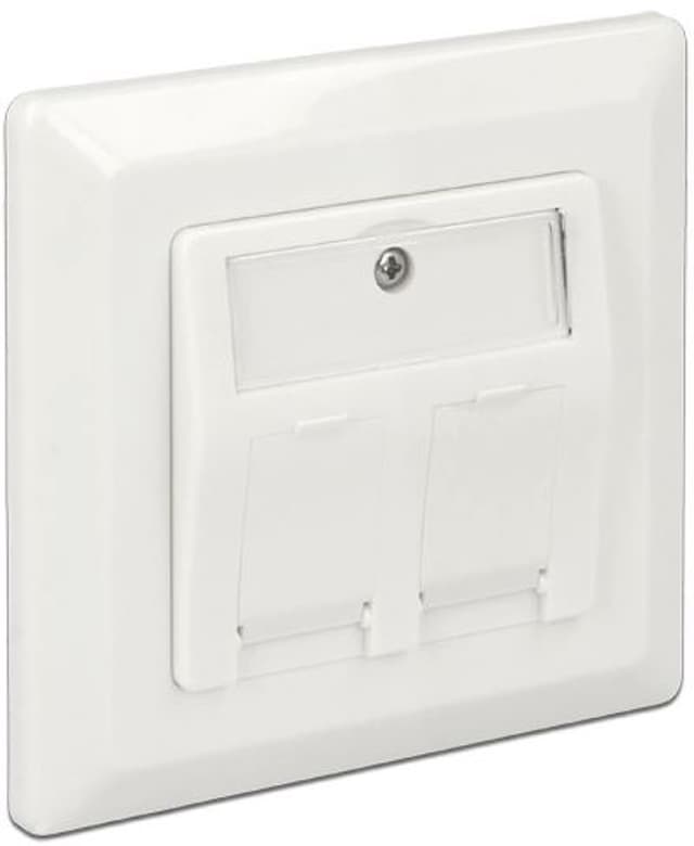 Delock 2 Port Keystone Vägguttag (86202)