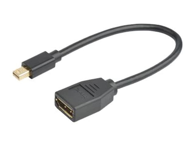 Prokord Video adapter Mini DisplayPort DisplayPort Svart (MP-DP 015)