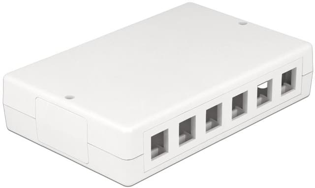 Delock 12 Port Keystone Box (86172)