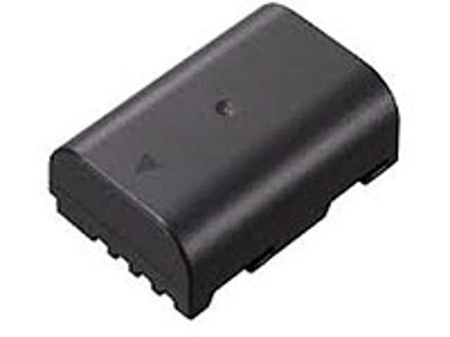 Panasonic Battery DMW-BLF19E
