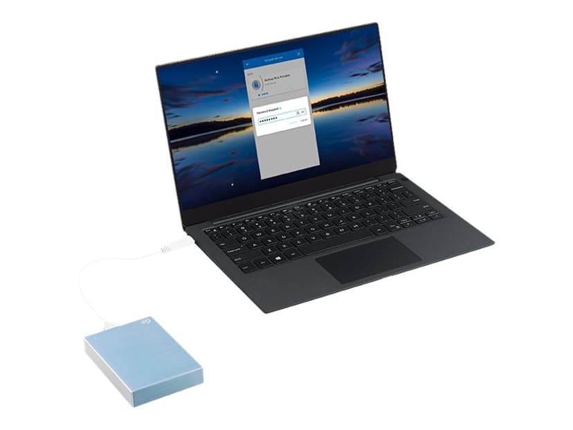 Seagate ONE Touch Portable Password 1TB Sininen