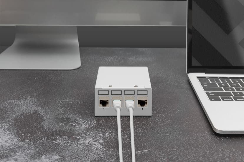 Digitus DN-93714 4-Port FTP Patch Panel Chassi Grå