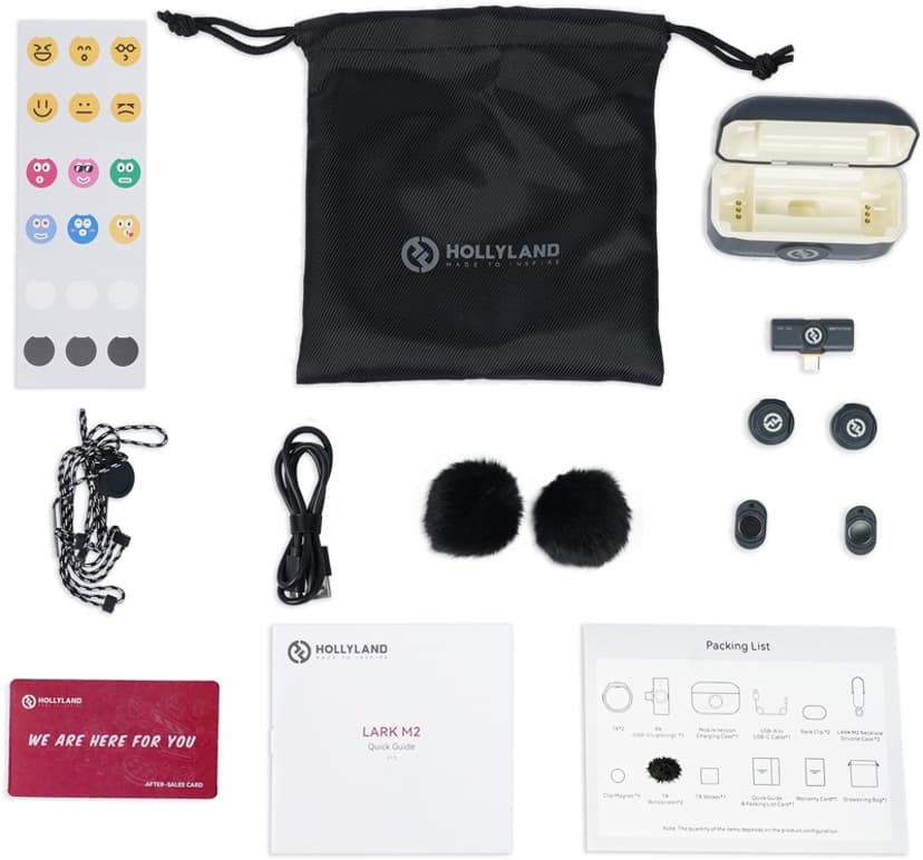 Hollyland Lark M2 USB-C