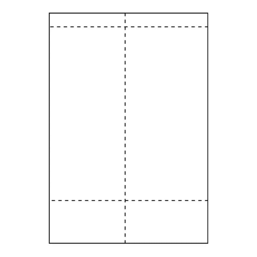 Capture Shipping Labels Ink/Laser 105x270mm With Receipt Part (PostNord/Pacsoft/DB Schenker) 500-Sheet
