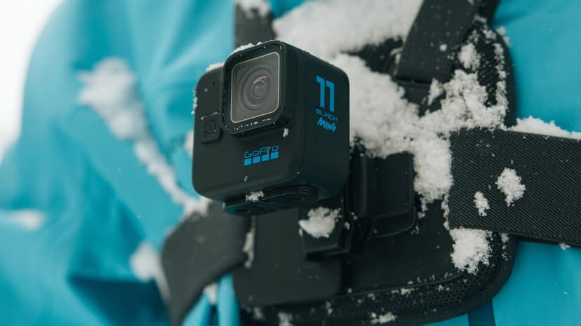 GoPro Chesty