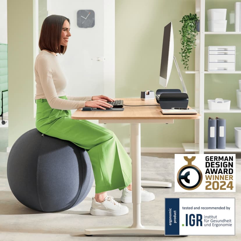 Leitz Ergo Active Sitting Ball med stoppfunksjon 65cm