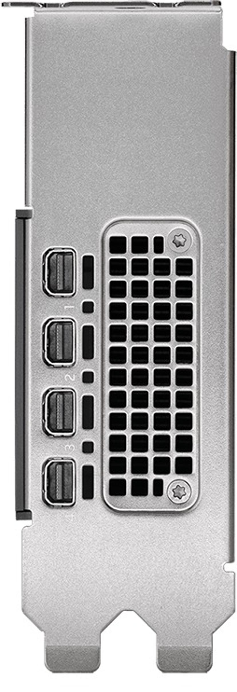 PNY PNY RTX 2000 Ada 16GB LP 16GB