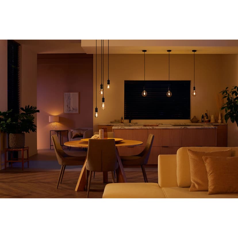 Philips 1 kpl:n pakkaus G125 E27 filamentti pallo
