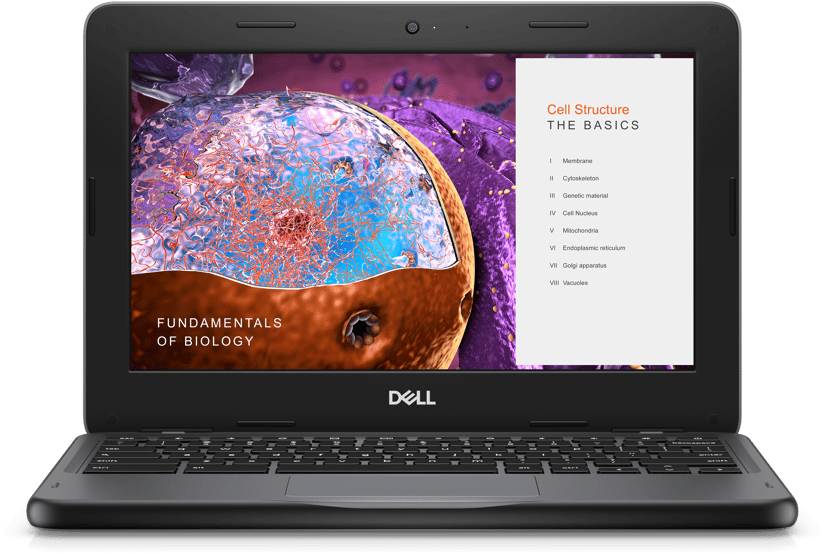 Dell Chromebook 3110 (touch) Celeron N 4GB 64GB 11.6"