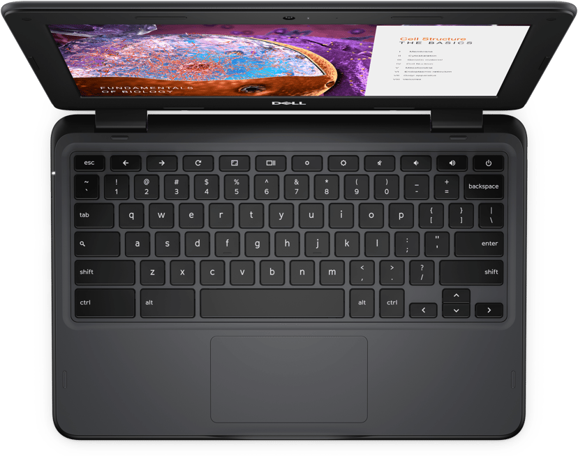 Dell Chromebook 3110 (touch) Celeron N 4GB 64GB 11.6"