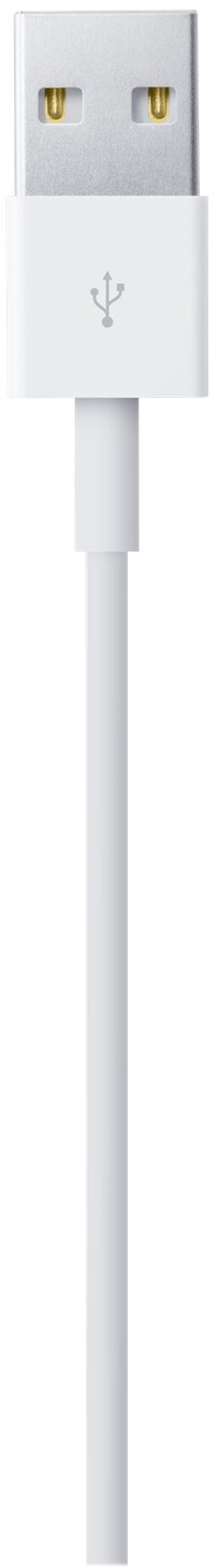 Apple Lightning to USB Cable 1m. Hvid