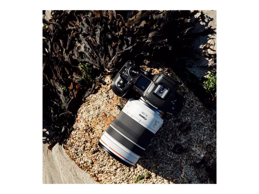 Canon RF 70-200mm f/4 L IS USM