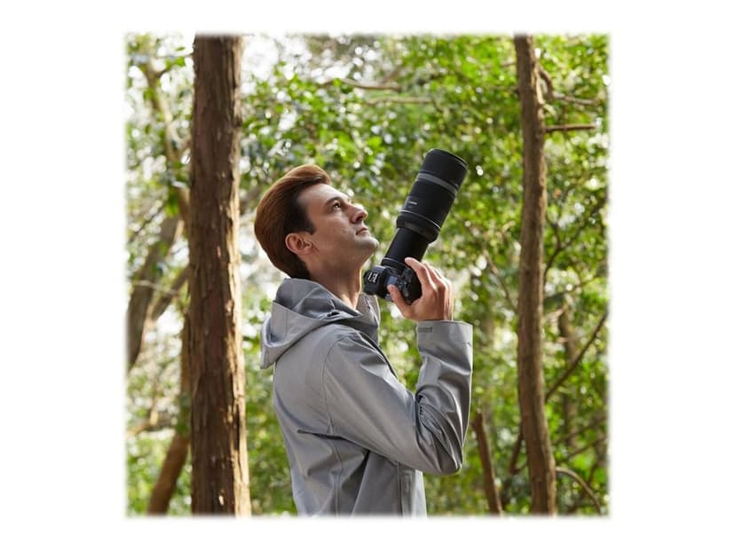Canon RF 600mm f/11 IS STM