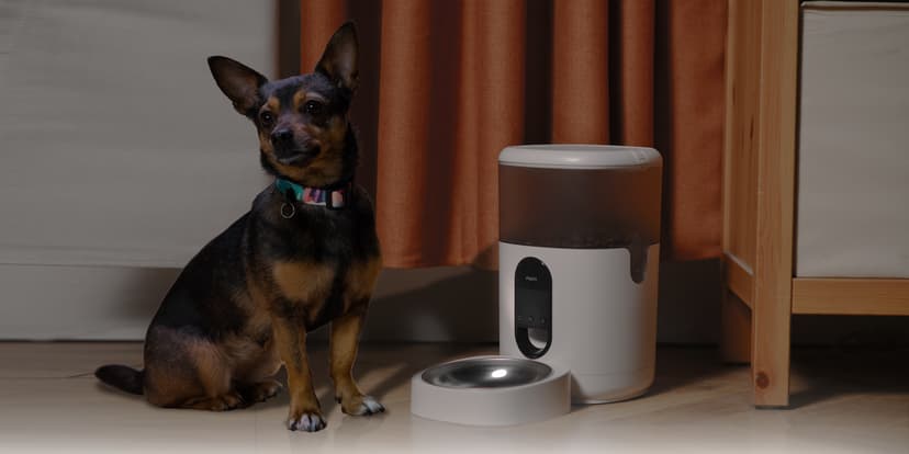 Aqara Pet Feeder C1