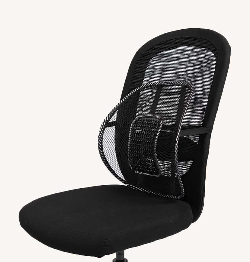 SWEDISH POSTURE Korsryggstøtte