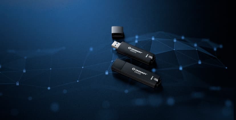 Kingston IronKey D500s 256GB USB-A Zwart